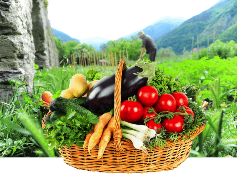 Manger vrai