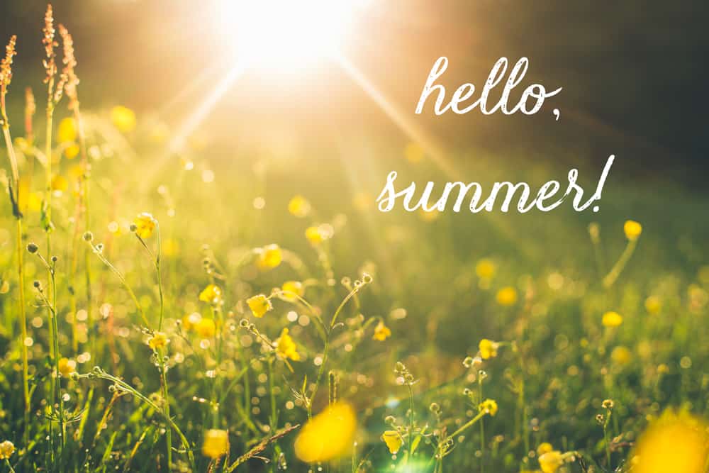 Hello Summer